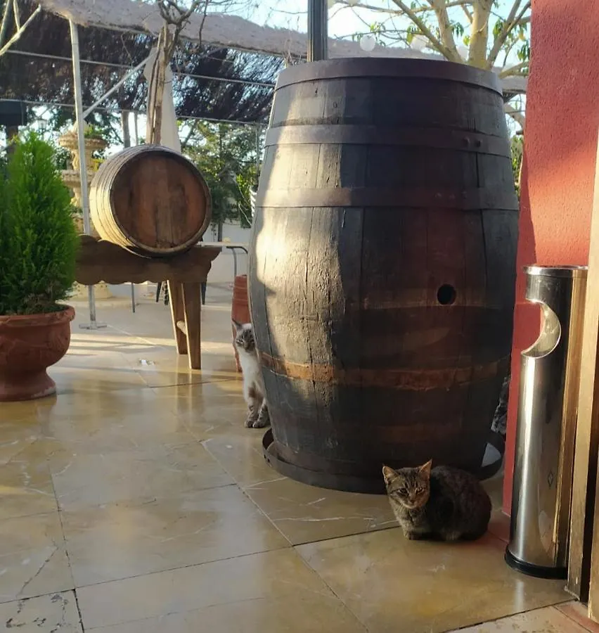 Hotel Sierra de Araceli Lucena